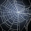 Broodmother Spin Web
