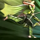 Windrunner Windrun